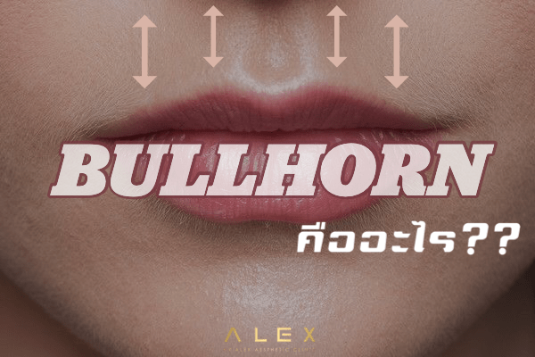 BullHorn ตัดยกริมฝีปากบน คืออะไร ??