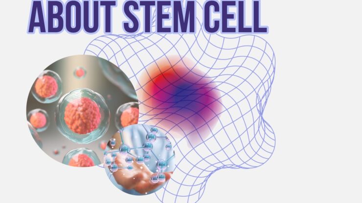 สเต็มเซลล์ ( Stem cell ) คืออะไร มาจากไหน มีประโยชน์อย่างไร ?
