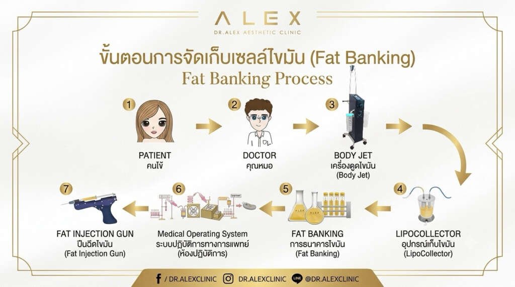 อินโฟกราฟิกนวัตกรรมเติมไขมันหน้าเด็ก BABY FACE Fat Grafting คลินิก Dr. Alex